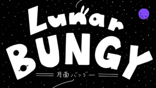 Lunar BUNGY Project